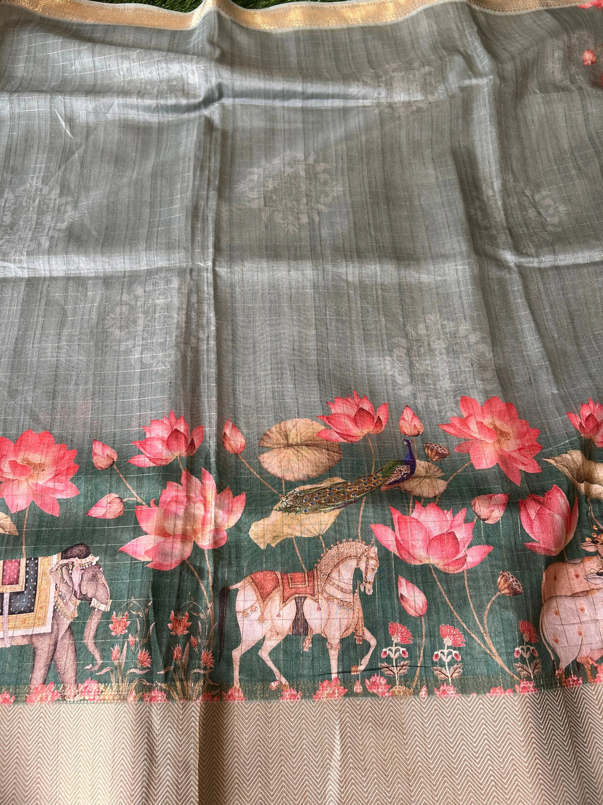 Saree Body